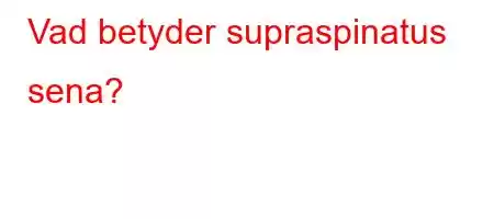 Vad betyder supraspinatus sena?