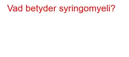 Vad betyder syringomyeli?