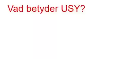 Vad betyder USY?