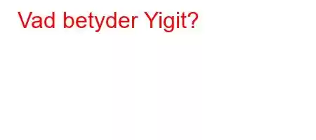 Vad betyder Yigit