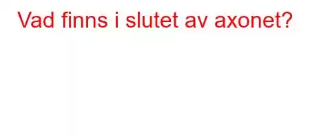 Vad finns i slutet av axonet?