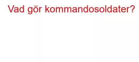 Vad gör kommandosoldater?