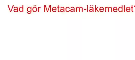 Vad gör Metacam-läkemedlet?