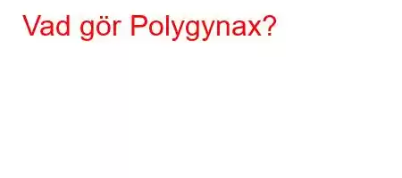 Vad gör Polygynax?