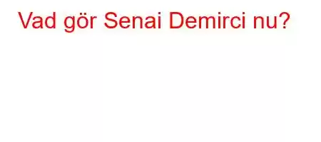 Vad gör Senai Demirci nu?