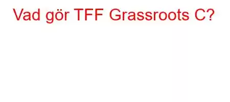 Vad gör TFF Grassroots C?