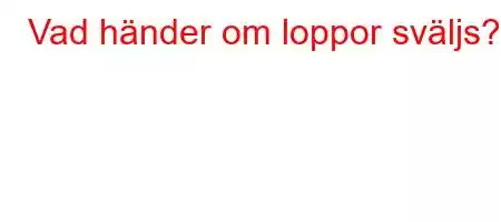 Vad händer om loppor sväljs