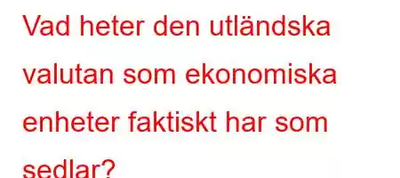 Vad heter den utländska valutan som ekonomiska enheter faktiskt har som sedlar?