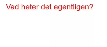 Vad heter det egentligen?