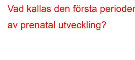 Vad kallas den första perioden av prenatal utveckling?