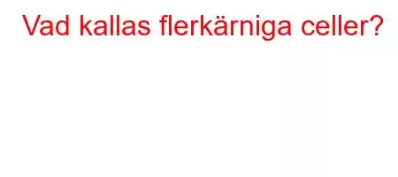 Vad kallas flerkärniga celler?