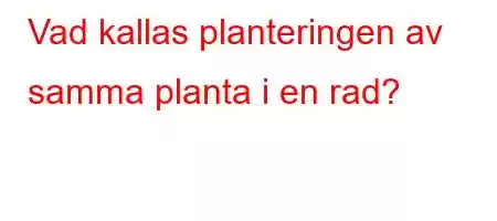 Vad kallas planteringen av samma planta i en rad?