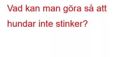 Vad kan man göra så att hundar inte stinker?