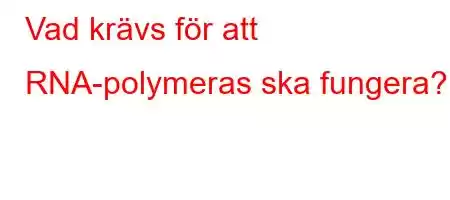 Vad krävs för att RNA-polymeras ska fungera?