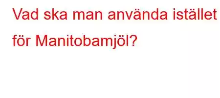 Vad ska man använda istället för Manitobamjöl?