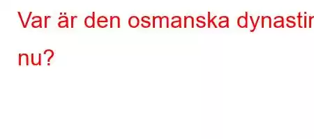 Var är den osmanska dynastin nu