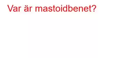 Var är mastoidbenet