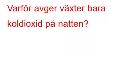 Varför avger växter bara koldioxid på natten