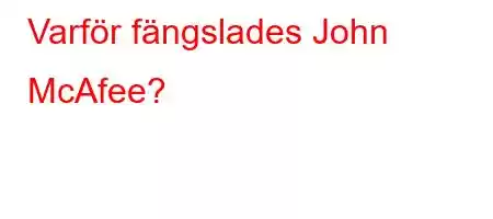 Varför fängslades John McAfee?