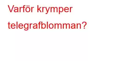 Varför krymper telegrafblomman?