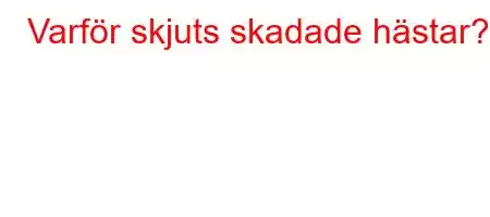 Varför skjuts skadade hästar?