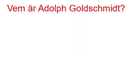 Vem är Adolph Goldschmidt