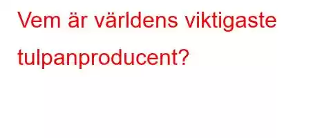 Vem är världens viktigaste tulpanproducent