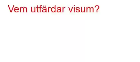 Vem utfärdar visum?