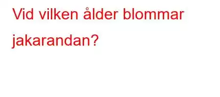 Vid vilken ålder blommar jakarandan?