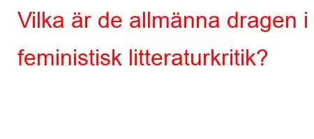 Vilka är de allmänna dragen i feministisk litteraturkritik?