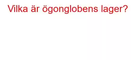 Vilka är ögonglobens lager?