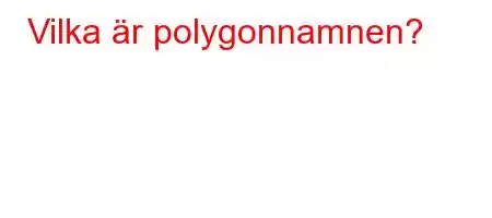 Vilka är polygonnamnen