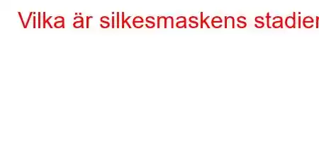 Vilka är silkesmaskens stadier?