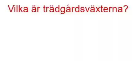 Vilka är trädgårdsväxterna?