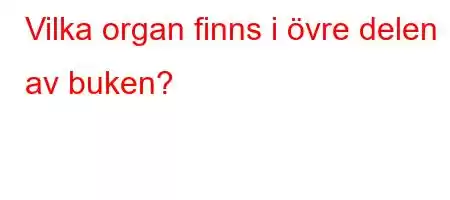 Vilka organ finns i övre delen av buken?