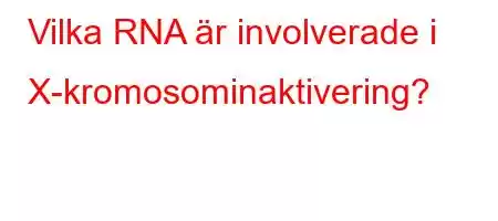 Vilka RNA är involverade i X-kromosominaktivering