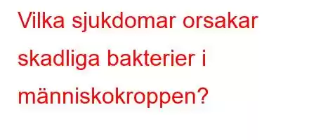 Vilka sjukdomar orsakar skadliga bakterier i människokroppen?