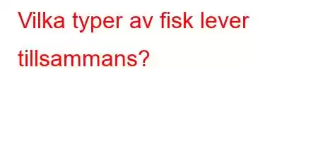 Vilka typer av fisk lever tillsammans?