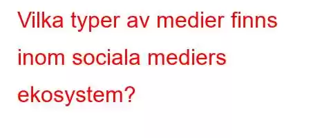 Vilka typer av medier finns inom sociala mediers ekosystem?