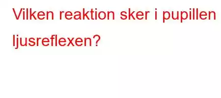 Vilken reaktion sker i pupillen i ljusreflexen?