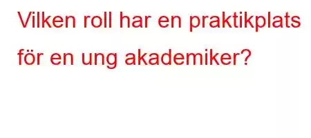 Vilken roll har en praktikplats för en ung akademiker?