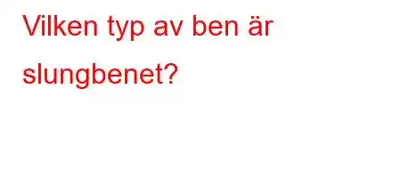 Vilken typ av ben är slungbenet