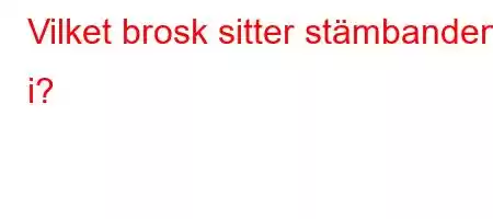 Vilket brosk sitter stämbanden i?