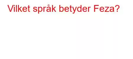 Vilket språk betyder Feza