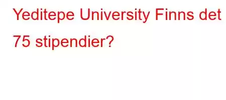 Yeditepe University Finns det 75 stipendier?